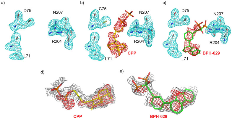 Figure 5