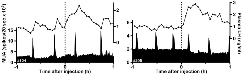 Fig. 5.