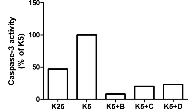 Fig 12