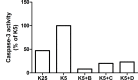 Fig 12