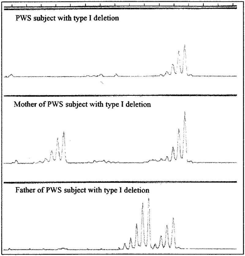 Fig 1.