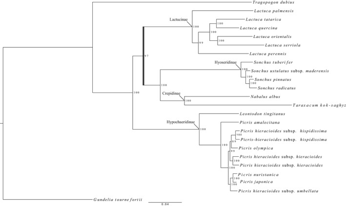 Figure 4