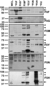 FIG 4