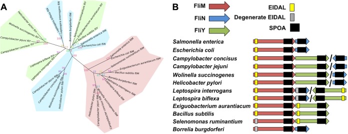 FIG 1