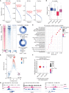 Figure 2. BRG1–BAF chromatin remodeling complex regulates the OPC stem cell–like state in pediatric H3K27M glioma. A, Specificity scores of all regulons as determined by SCENIC analysis of gene regulatory networks in cycling, OPC-like, AC-like, and OC-like subpopulations of pediatric H3K27M-glioma patient tumors (n = 6). B, Relative activity of SMARCA4 regulons in cycling, OPC-like, AC-like, and OC-like subpopulations of pediatric H3K27M-glioma patient tumors (n = 6). Significance was compared between the progenitor OPC-like and the mature AC-like subpopulation of H3K27M-glioma primary tumors using a Student t test. The median is marked by the middle line within the box plot, the first and third quartiles by the upper and lower limits, and the 1.5× interquartile range by the whiskers. C, Heat maps (left) depicting BRG1, H3K27ac, and H3K27me3 ChIP-seq signals in BT869 (H3.3K27M-glioma) neurospheres at BRG1 binding sites according to their distance to transcription start sites (TSS). Regions within 1 kb of the TSS were considered TSS-proximal sites (top, n = 99), whereas all others were classified as TSS distal (bottom, n = 1,236). Each row shows 6.4-kb regions, centered on BRG1 peaks and ranked by BRG1 ChIP-seq signal intensity. Color shading corresponds to ChIP-seq read counts. Distribution of BRG1 peak counts (right) according to their distance to the TSS and genome location. D, Biological processes as determined by gene ontology (GO) analysis associated with genes detected in close proximity to BRG1 peaks in the BT869 neurosphere model. The top 15 enriched GO terms are displayed. The gene ratio refers to the ratio between the number of genes associated with BRG1 peaks present in each GO term and in all GO terms. The number of genes related to BRG1 peaks and associated with each GO term is indicated by the size of the circle, and significance is depicted by the color scale. Reg., regulation. E, Single-cell expression scores of genes defined as BRG1 bound in the BT869 neurosphere model, projected onto the scRNA-seq data of H3K27M-glioma patient tumors (n = 6). OPC-like cancer cells (high stemness score) show higher expression of BRG1-bound genes than AC-like cancer cells (low stemness score and negative lineage score) or OC-like cancer cells (low stemness score and positive lineage score). F, Representation of the enrichment of H3K27M-glioma tumor transcriptional programs in BRG1-associated genes, defined by ChIP-seq in BT869 cells, overlapping with enhancer-regulated genes identified in H3.3K27M-glioma patient tumors. The largest circle indicates a higher overlap of BRG1/enhancer-regulated genes with the OPC-like transcriptional program in H3.3K27M-glioma tumors. Red color refers to significance in overlap, as determined by a hypergeometric test. G, Gene tracks display input, BRG1, and H3K27ac ChIP-seq signal at promoters and enhancers of marker genes of the OPC-like cancer cell state (EGR1, NAV1, and ETV1).
