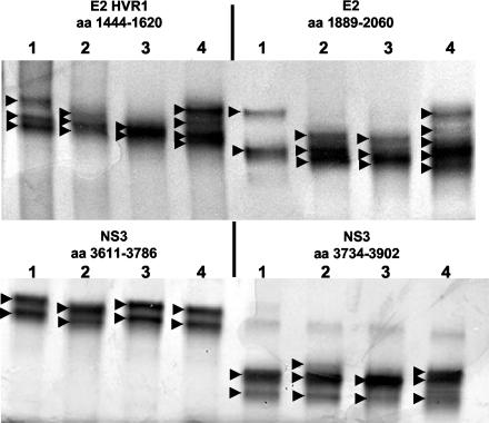 FIG. 4.