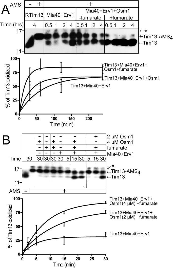 FIGURE 5: