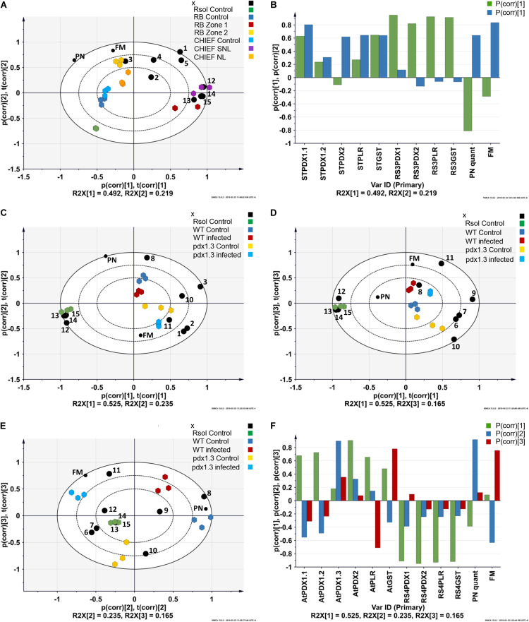 FIGURE 2