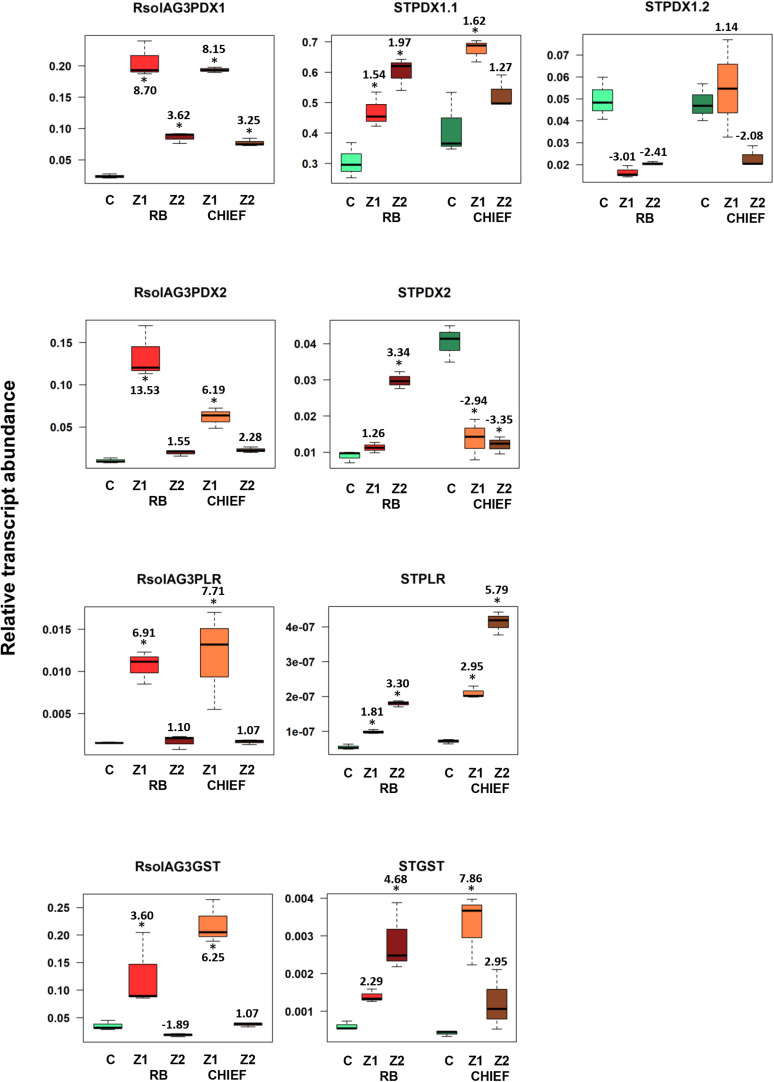 FIGURE 5