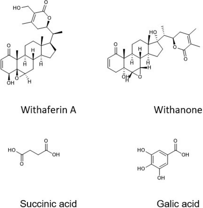 FIGURE 3