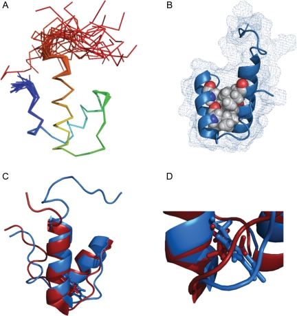 Fig. 1