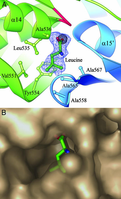 Fig. 3.