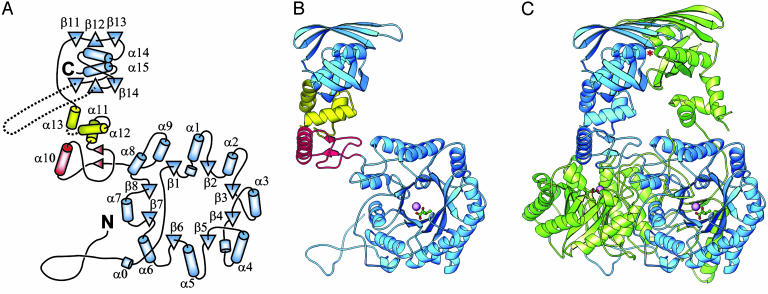 Fig. 1.