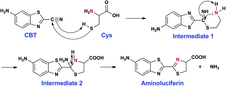 Scheme 3