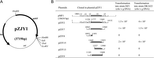 FIG. 2.