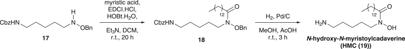 Scheme 2.