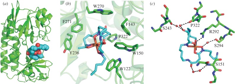 Figure 6.