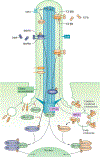 Figure 6.