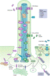 Figure 5.