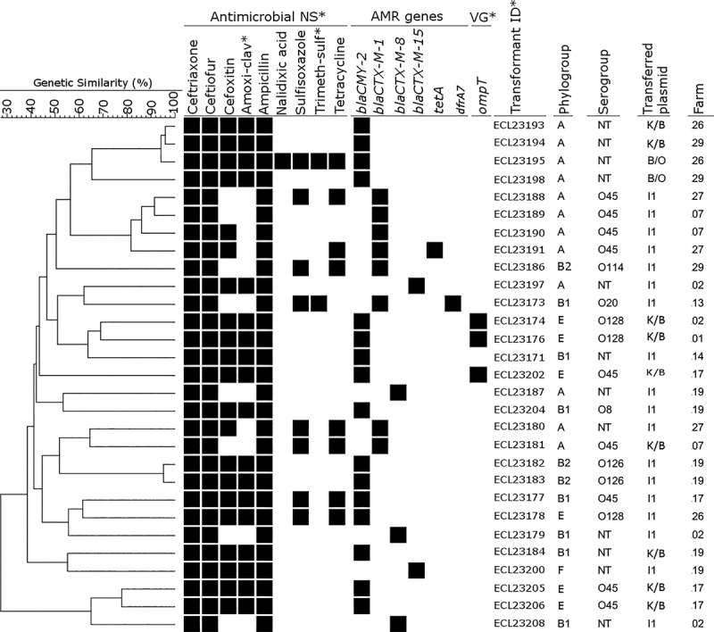 Fig 4