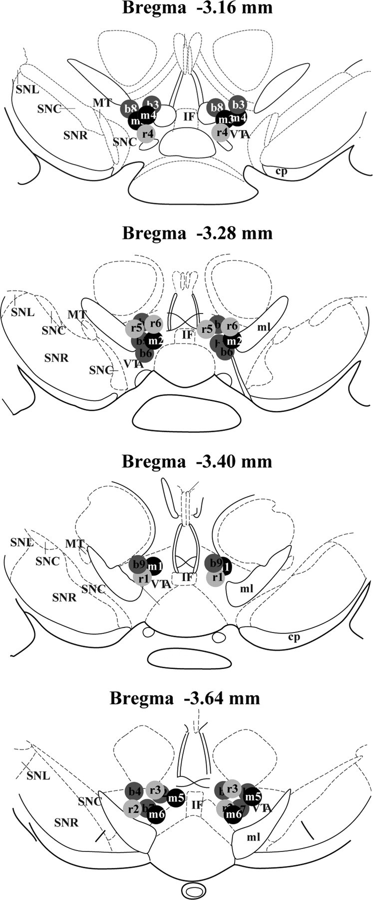 Figure 9.