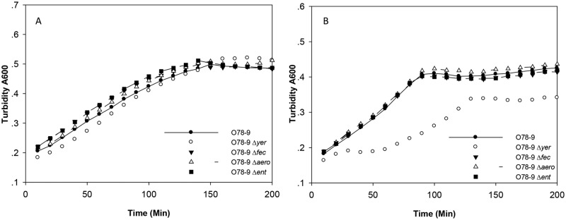 FIG 10 