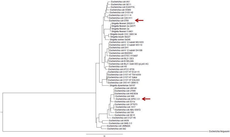 FIG 1 