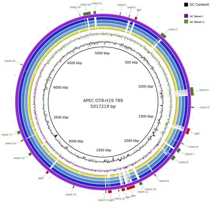 FIG 2 