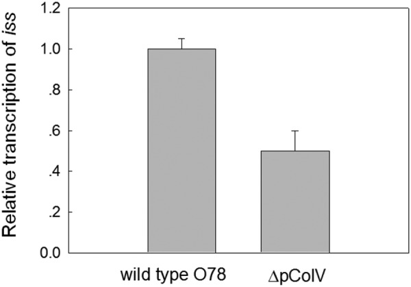 FIG 6 