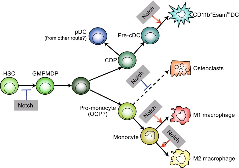 Figure 2