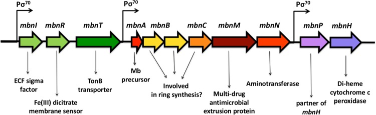 FIG 2