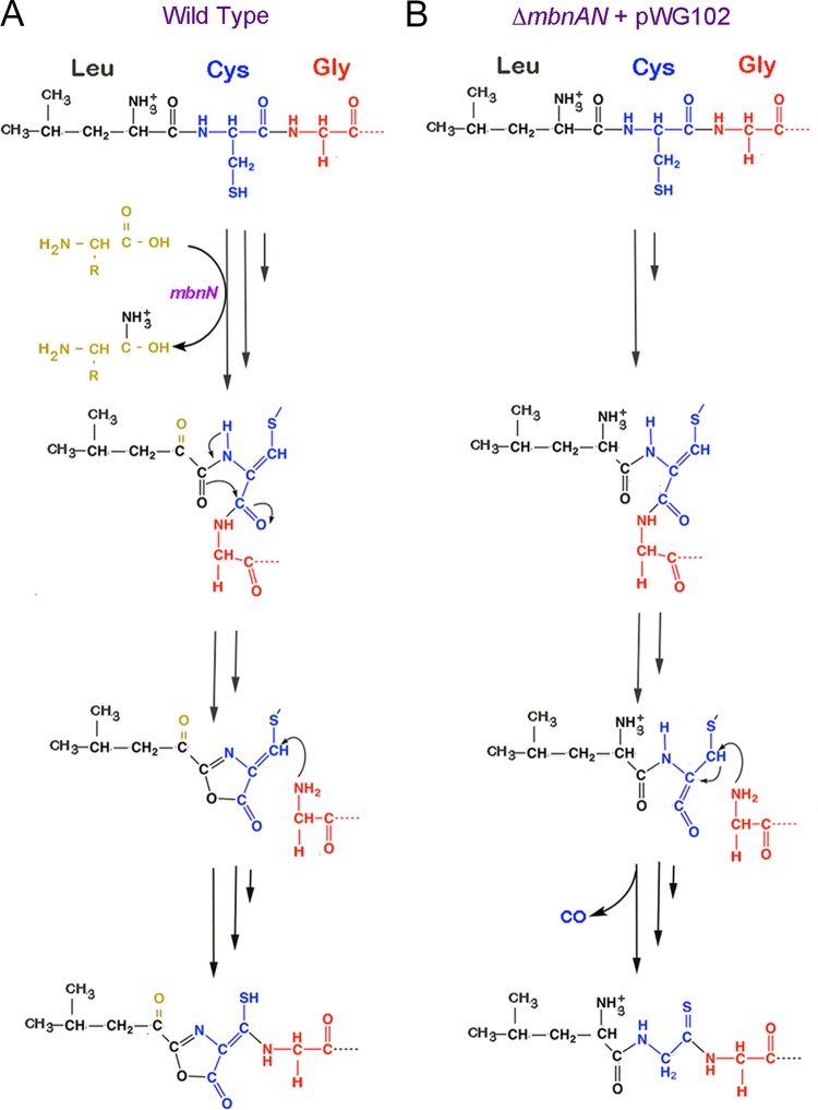 FIG 6