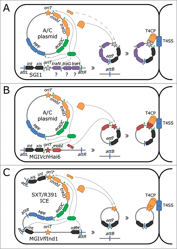 Figure 1.