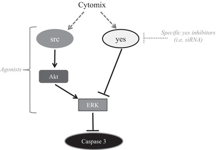 Fig. 8.