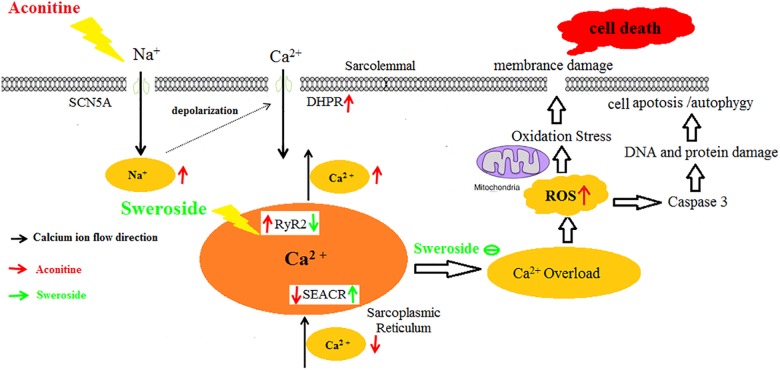 FIGURE 9