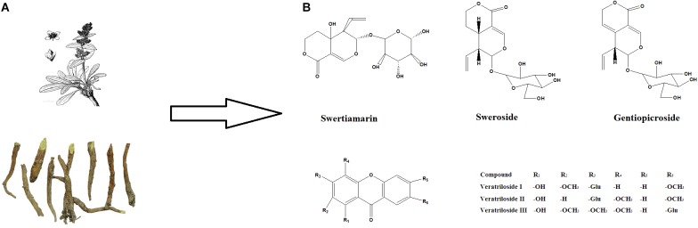 FIGURE 1