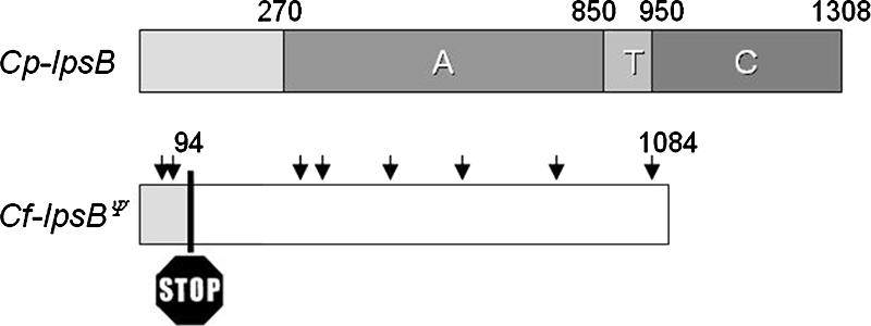 FIG. 3.