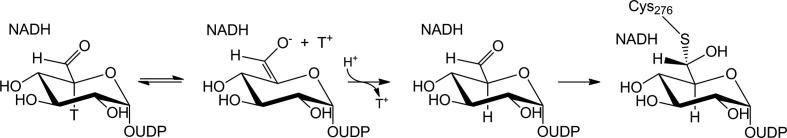 Scheme 2