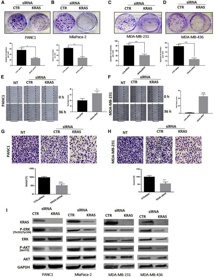 Figure 5