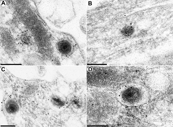 FIG. 8.