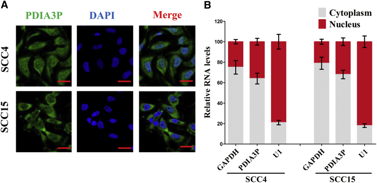 Figure 4