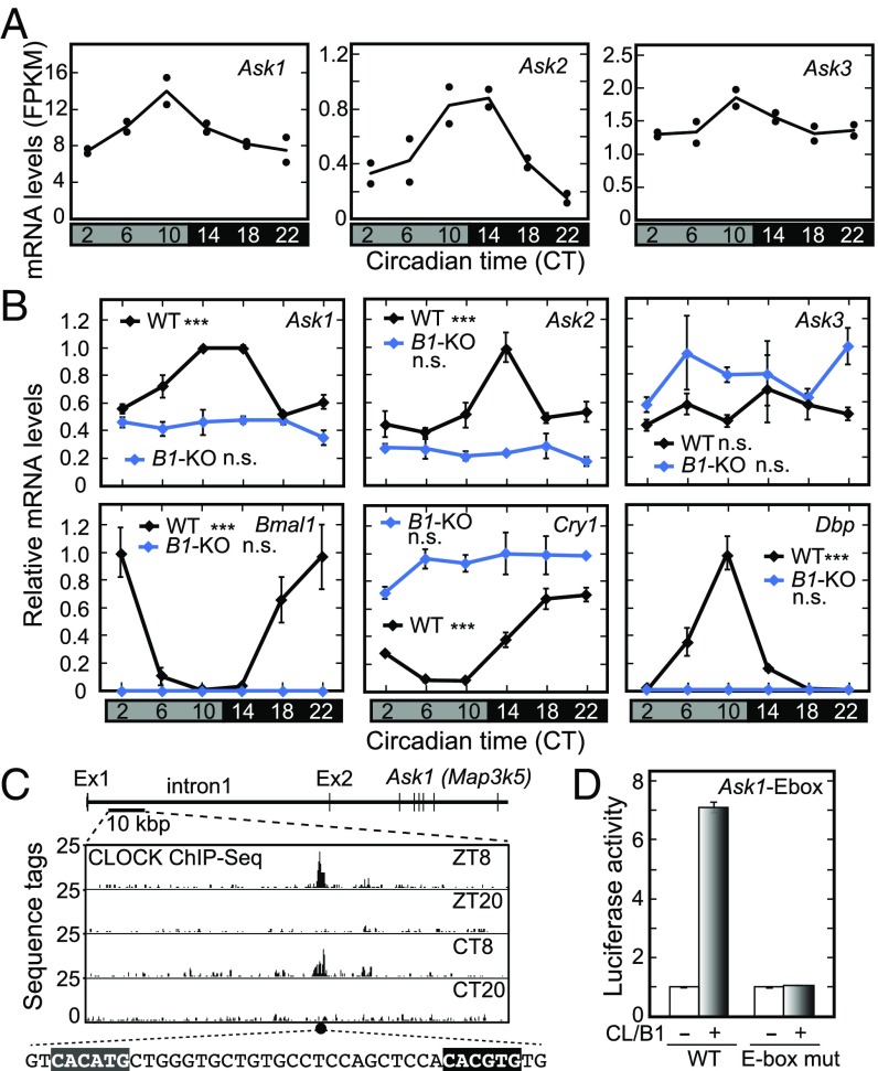 Fig. 3.