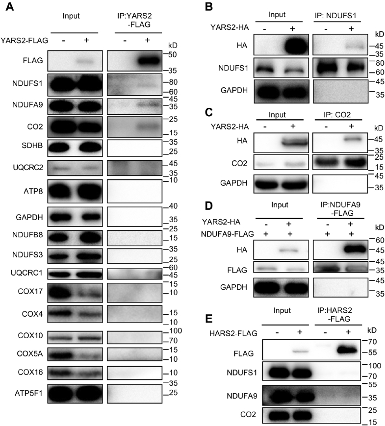 Figure 5