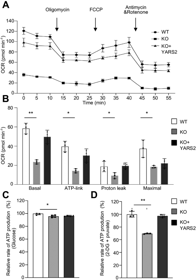 Figure 4