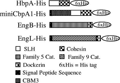 FIG. 1.