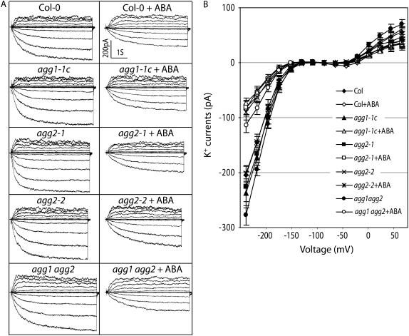 Figure 6.