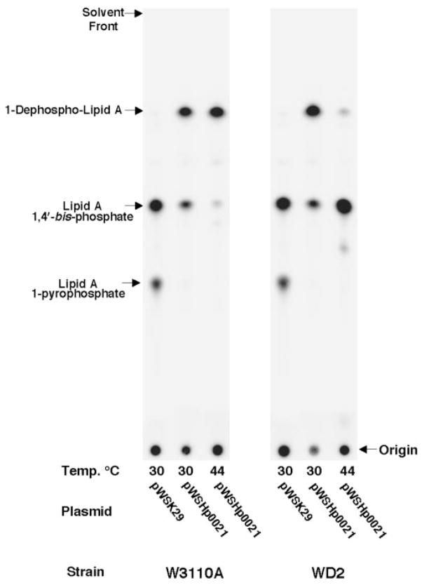 Fig. 9