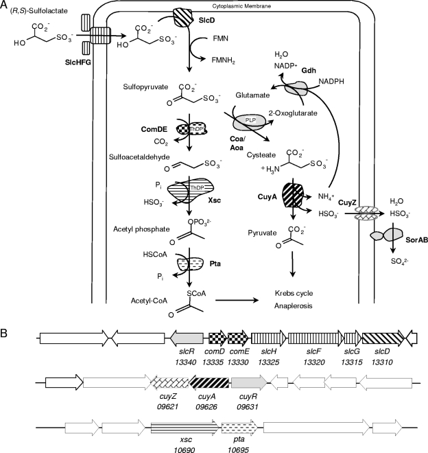 FIG. 1.