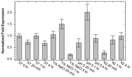 Figure 7