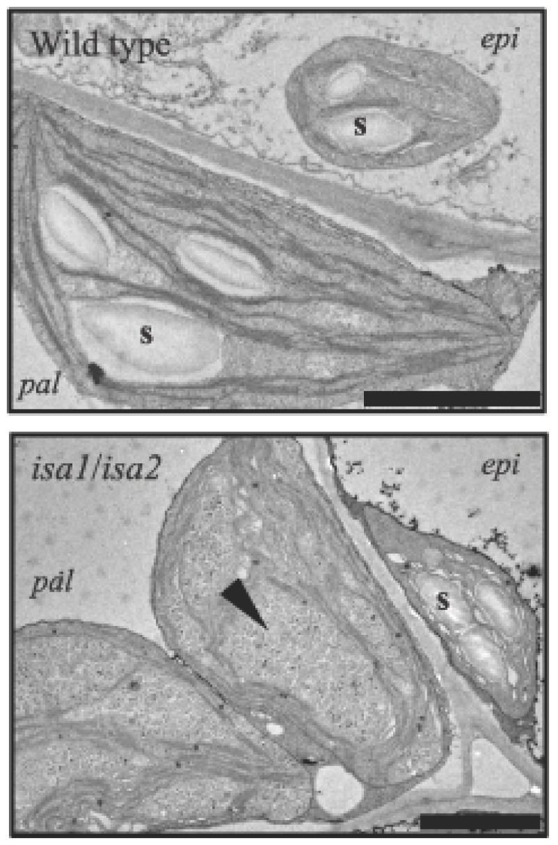 Figure 7.